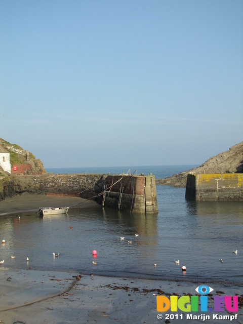 SX17648 Pothgain harbour